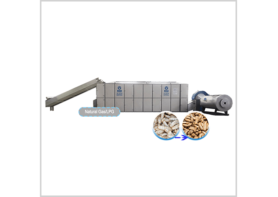 larvae   dryer/drying machine